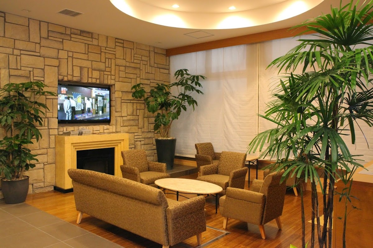 Night 0 / 12 — Dormy Inn Sapporo Annex Hot Spring, Sapporo — photo 10