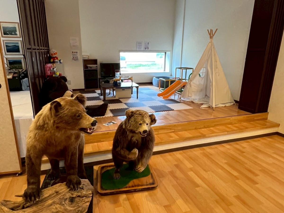 Night 5 — Livemax Resort Shiretoko Sea Front, Rausu — photo 8