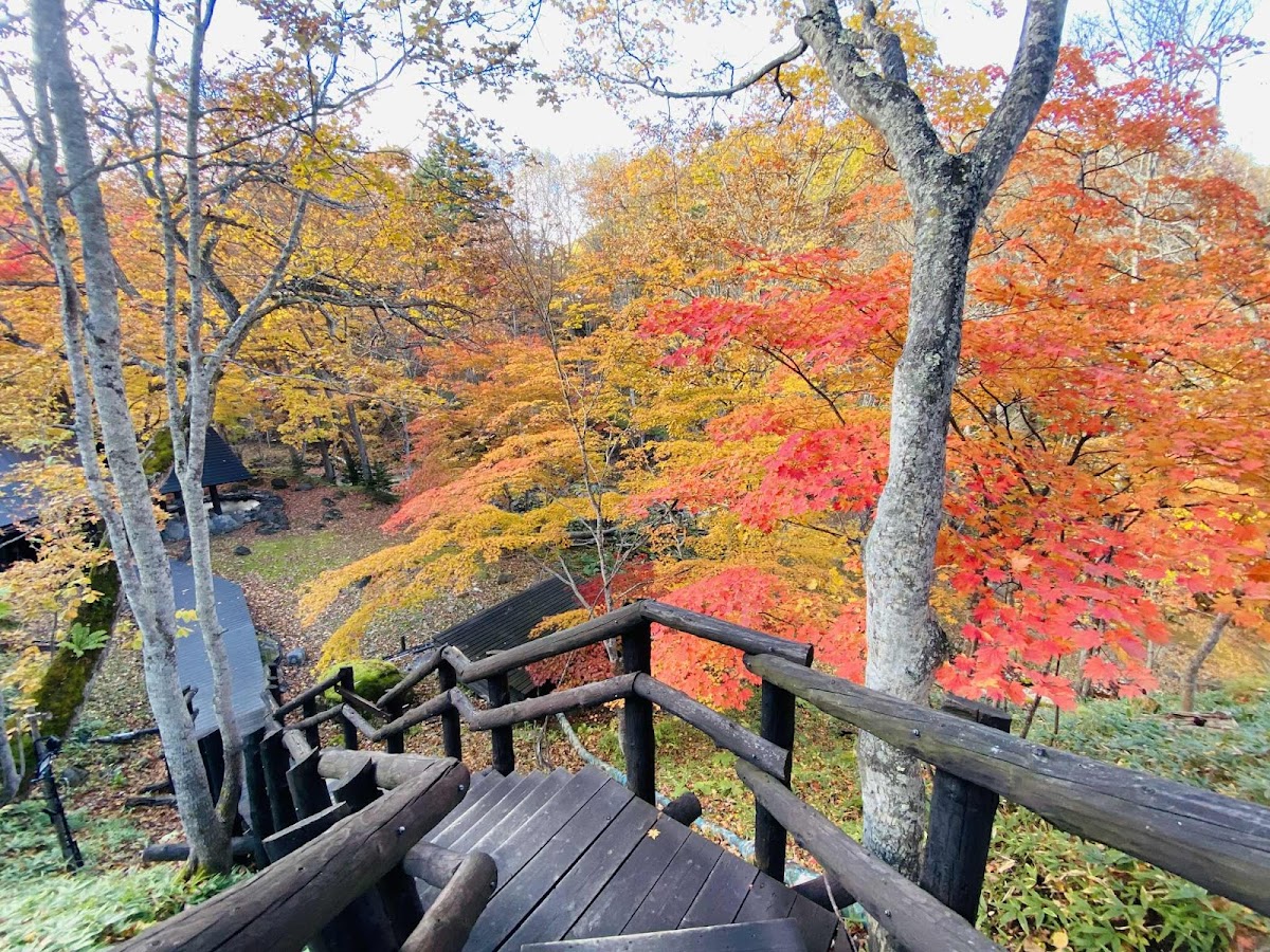 Night 10 — 糠平館観光ホテル (Nukabirakan Kanko Hotel), Nukabira Onsen — photo 6