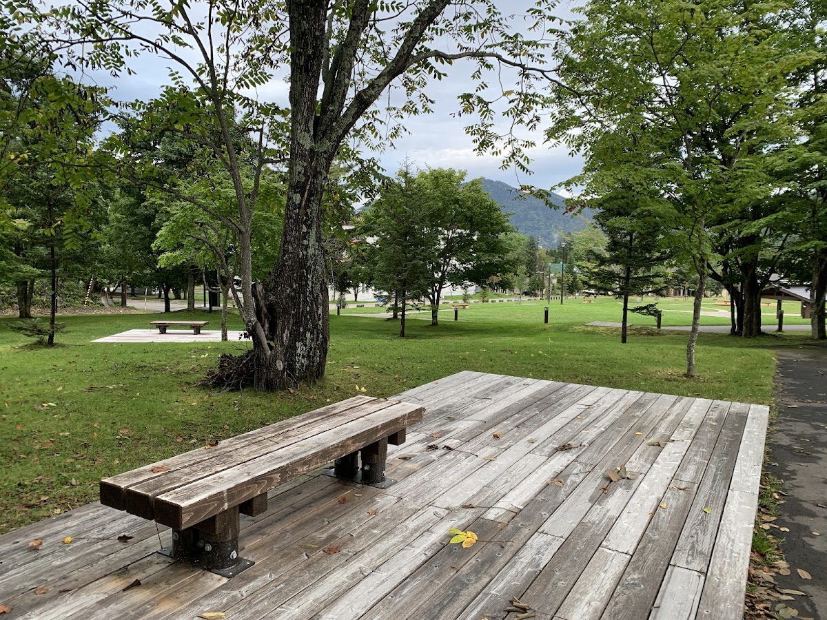 Night 10 — 糠平館観光ホテル (Nukabirakan Kanko Hotel), Nukabira Onsen — photo 9