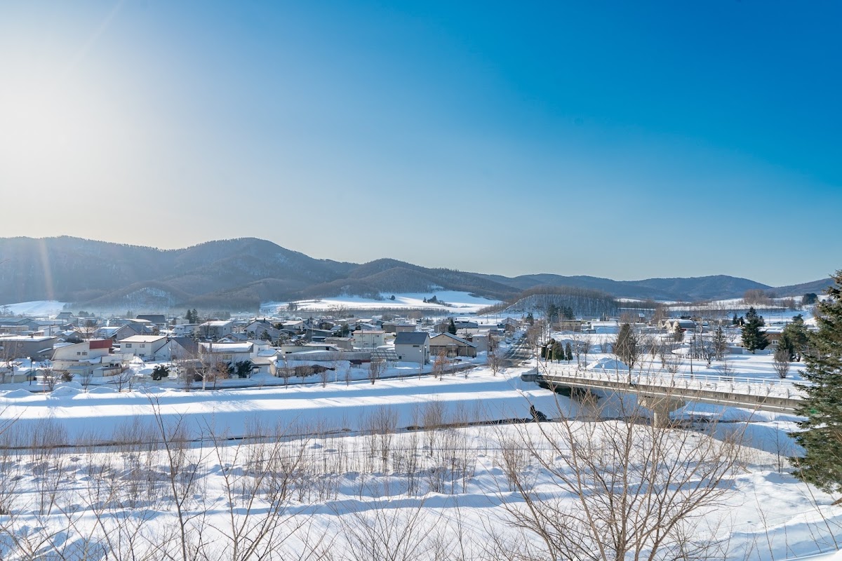Night 2 — Oehonke (温根湯温泉), Onneyu Onsen — photo 10