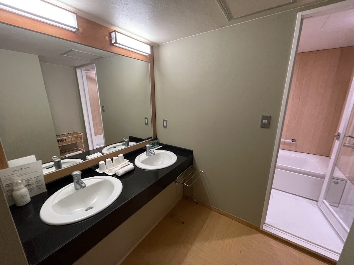 Night 11 — 層雲峡観光ホテル (Sounkyo Kanko Hotel), Sounkyo Onsen — photo 4